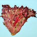 Red Tango, Lettuce, - BoxGardenSeedsLLC -Lettuce - Seeds