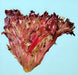 Red Tango, Lettuce, -- BoxGardenSeedsLLC -Lettuce - Seeds