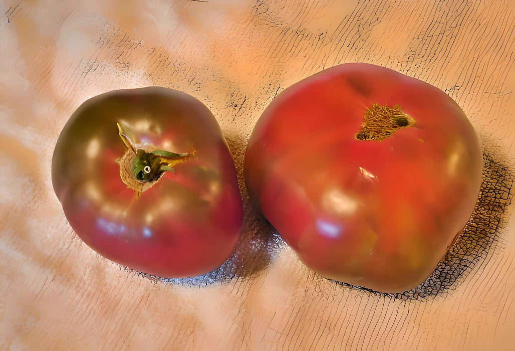 Black Krim, Tomato, - BoxGardenSeedsLLC -Tomatoes,Tomatillos - Seeds