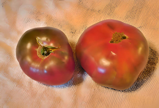 Black Krim, Tomato, -- BoxGardenSeedsLLC -Tomatoes,Tomatillos - Seeds