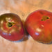 Black Krim, Tomato, - BoxGardenSeedsLLC -Tomatoes,Tomatillos - Seeds