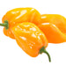 Yellow Caribbean Habanero, Hot Pepper, - BoxGardenSeedsLLC -Peppers,Eggplants - Seeds