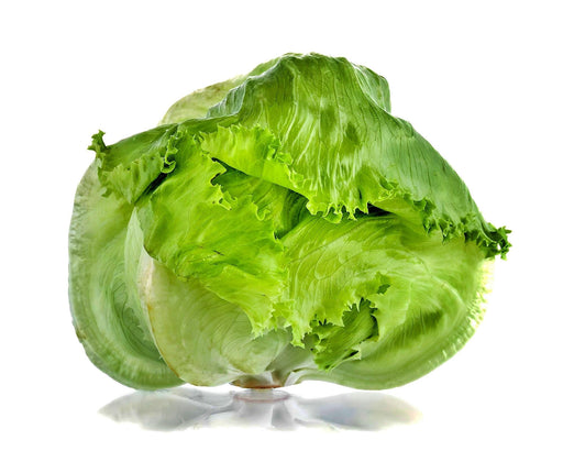 Coolguard, Lettuce, -- BoxGardenSeedsLLC -Lettuce - Seeds