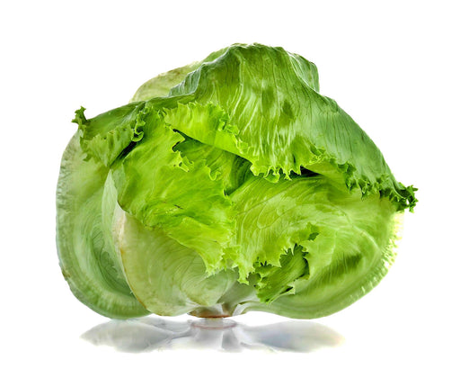 Coolguard, Lettuce - BoxGardenSeedsLLC -Lettuce - Seeds