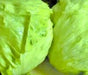 Coolguard, Lettuce, -- BoxGardenSeedsLLC -Lettuce - Seeds