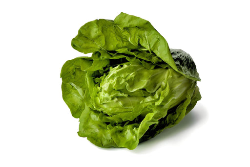 Tom Thumb, Lettuce - BoxGardenSeedsLLC -Lettuce - Seeds