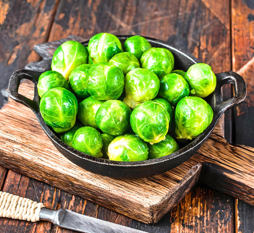 Long Island Improved, Brussel Sprouts, -- BoxGardenSeedsLLC -Broccoli,Cauliflower - Seeds