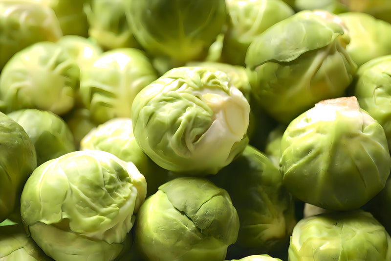 Long Island Improved, Brussel Sprouts - BoxGardenSeedsLLC - Broccoli,Cauliflower - Seeds - USA Seller, Thank you for shopping here today, Naturally Grown GMO Free Seeds, Heirloom Open Pollinated Seeds, Fresh Top Quality Premium Seeds