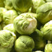 Long Island Improved, Brussel Sprouts, - BoxGardenSeedsLLC -Broccoli,Cauliflower - Seeds