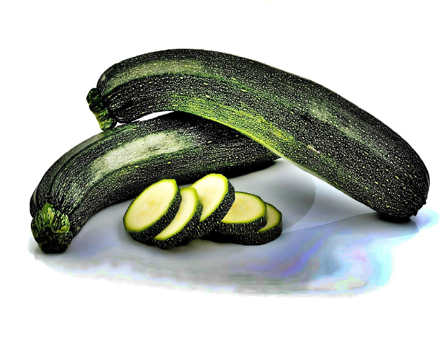 Fordhook Zucchini, Summer Squash, Heirloom Garden Seeds Open Pollinated Gardening Non-GMO - BoxGardenSeedsLLC -Squash,Pumpkins - Seeds