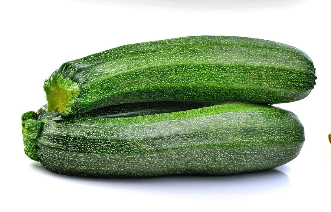 Black Beauty Zucchini, Summer Squash - BoxGardenSeedsLLC -Squash,Pumpkins - Seeds