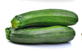 Black Beauty Zucchini, Summer Squash, -- BoxGardenSeedsLLC -Squash,Pumpkins - Seeds