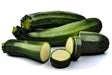 Black Beauty Zucchini, Summer Squash, -- BoxGardenSeedsLLC -Squash,Pumpkins - Seeds