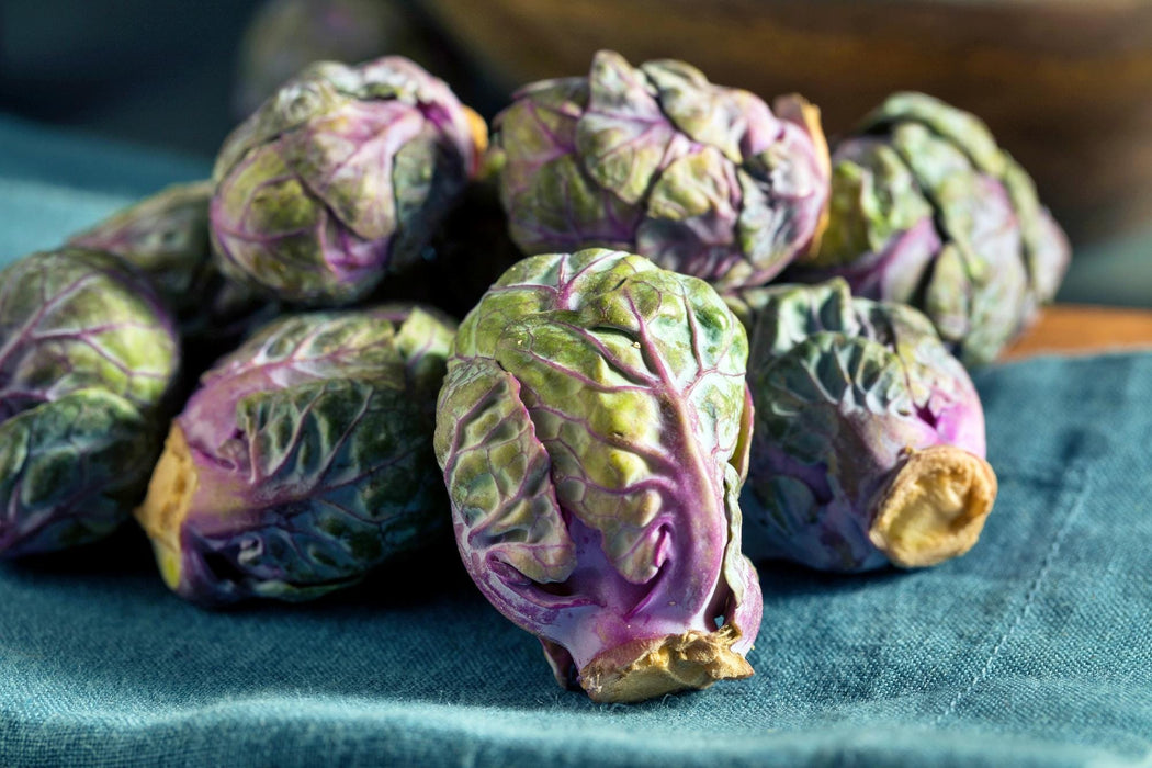 Red Bull, Brussel Sprouts, - BoxGardenSeedsLLC -Broccoli,Cauliflower - Seeds