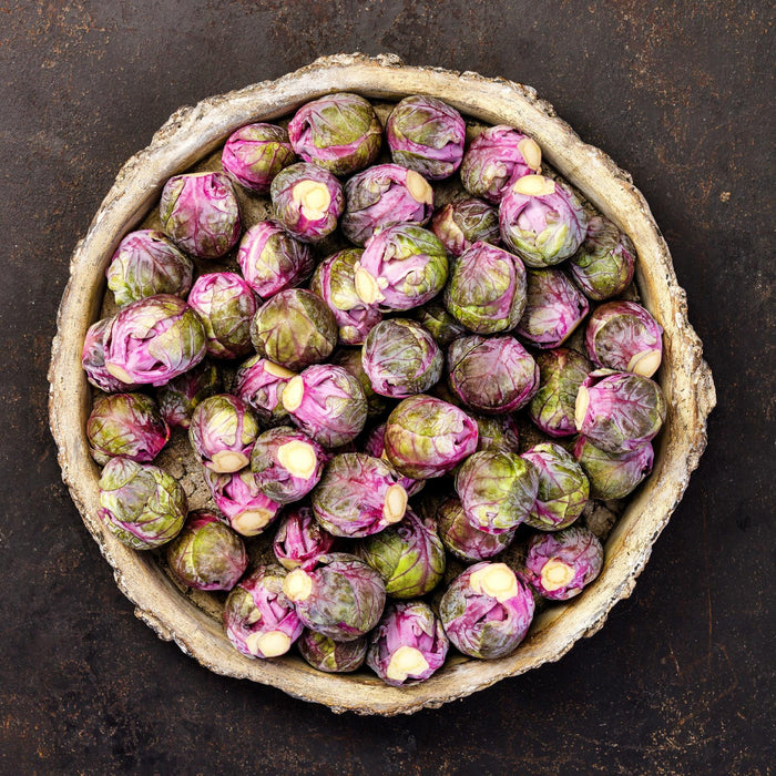 Red Bull, Brussel Sprouts, - BoxGardenSeedsLLC -Broccoli,Cauliflower - Seeds