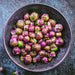 Red Bull, Brussel Sprouts, - BoxGardenSeedsLLC -Broccoli,Cauliflower - Seeds