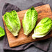 Little Caesar, Romaine Lettuce, - BoxGardenSeedsLLC -Lettuce - Seeds