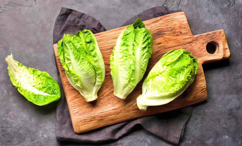 Little Caesar, Romaine Lettuce - BoxGardenSeedsLLC - Lettuce - Seeds - USA Seller, Thank you for shopping here today, Naturally Grown GMO Free Seeds, Heirloom Open Pollinated Seeds, Fresh Top Quality Premium Seeds
