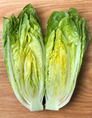 Little Caesar, Romaine Lettuce - BoxGardenSeedsLLC - Lettuce - Seeds - USA Seller, Thank you for shopping here today, Naturally Grown GMO Free Seeds, Heirloom Open Pollinated Seeds, Fresh Top Quality Premium Seeds