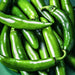 Serrano, Hot Pepper, - BoxGardenSeedsLLC -Peppers,Eggplants - Seeds