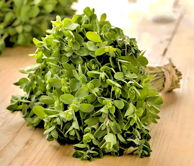 Sweet Marjoram, Herb - BoxGardenSeedsLLC - Culinary/Medicinal Herbs - Seeds - USA Seller, Thank you for shopping here today, Naturally Grown GMO Free Seeds, Heirloom Open Pollinated Seeds, Fresh Top Quality Premium Seeds