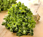 Sweet Marjoram, Herb, -- BoxGardenSeedsLLC -Abundant Stock SALE - Seeds