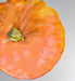 Lower Salmon River, Winter Squash, -- BoxGardenSeedsLLC -Squash,Pumpkins - Seeds