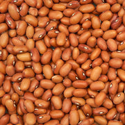 Kentucky Wonder Brown, Pole Bean - BoxGardenSeedsLLC - Beans / Dry Beans - Seeds - 