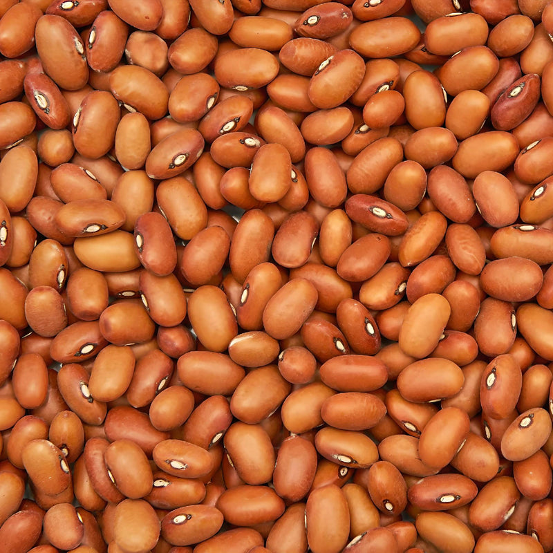 Kentucky Wonder Brown, Pole Bean - BoxGardenSeedsLLC - Beans / Dry Beans - Seeds - 