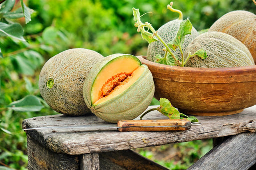 Golden Delicious, Cantaloupe, -- BoxGardenSeedsLLC -Melons, Cantaloupe - Seeds