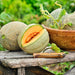 Golden Delicious, Cantaloupe, - BoxGardenSeedsLLC -Melons, Cantaloupe - Seeds