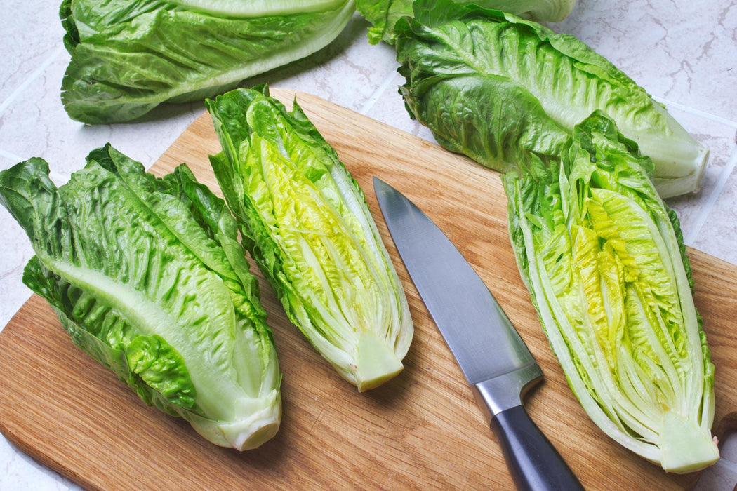 Giant Caesar, Romaine Lettuce, -- BoxGardenSeedsLLC -Lettuce - Seeds