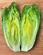 Giant Caesar, Romaine Lettuce - BoxGardenSeedsLLC - Lettuce - Seeds - USA Seller, Thank you for shopping here today, Naturally Grown GMO Free Seeds, Heirloom Open Pollinated Seeds, Fresh Top Quality Premium Seeds