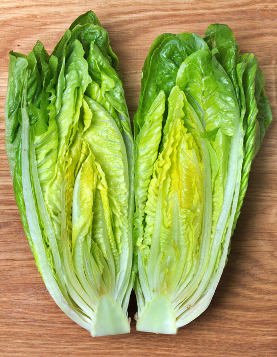 Giant Caesar, Romaine Lettuce, -- BoxGardenSeedsLLC -Lettuce - Seeds