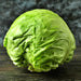 Danish Ballhead, Cabbage, - BoxGardenSeedsLLC -Cabbage, Kale - Seeds