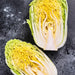 Aichi, Chinese Cabbage, - BoxGardenSeedsLLC -Cabbage, Kale - Seeds