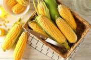 Early Golden Bantam, Sweet Corn - BoxGardenSeedsLLC - Corn - Seeds - 