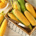 Early Golden Bantam, Sweet Corn, - BoxGardenSeedsLLC -Abundant Stock SALE - Seeds