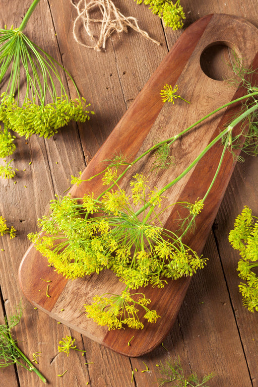 Dill Bouquet, Herb, - BoxGardenSeedsLLC -Culinary/Medicinal Herbs - Seeds