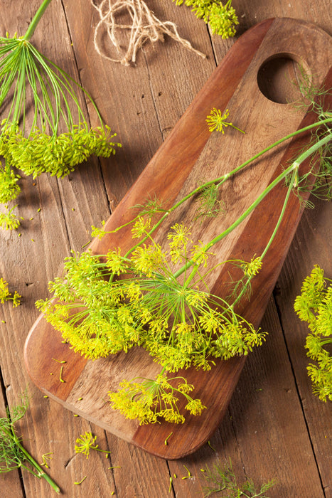 Dill Bouquet, Herb, -- BoxGardenSeedsLLC -Culinary/Medicinal Herbs - Seeds