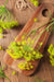 Dill Bouquet, Herb, -- BoxGardenSeedsLLC -Culinary/Medicinal Herbs - Seeds