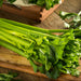 Tendercrisp, Celery, - BoxGardenSeedsLLC -Gourmet/Native Greens - Seeds