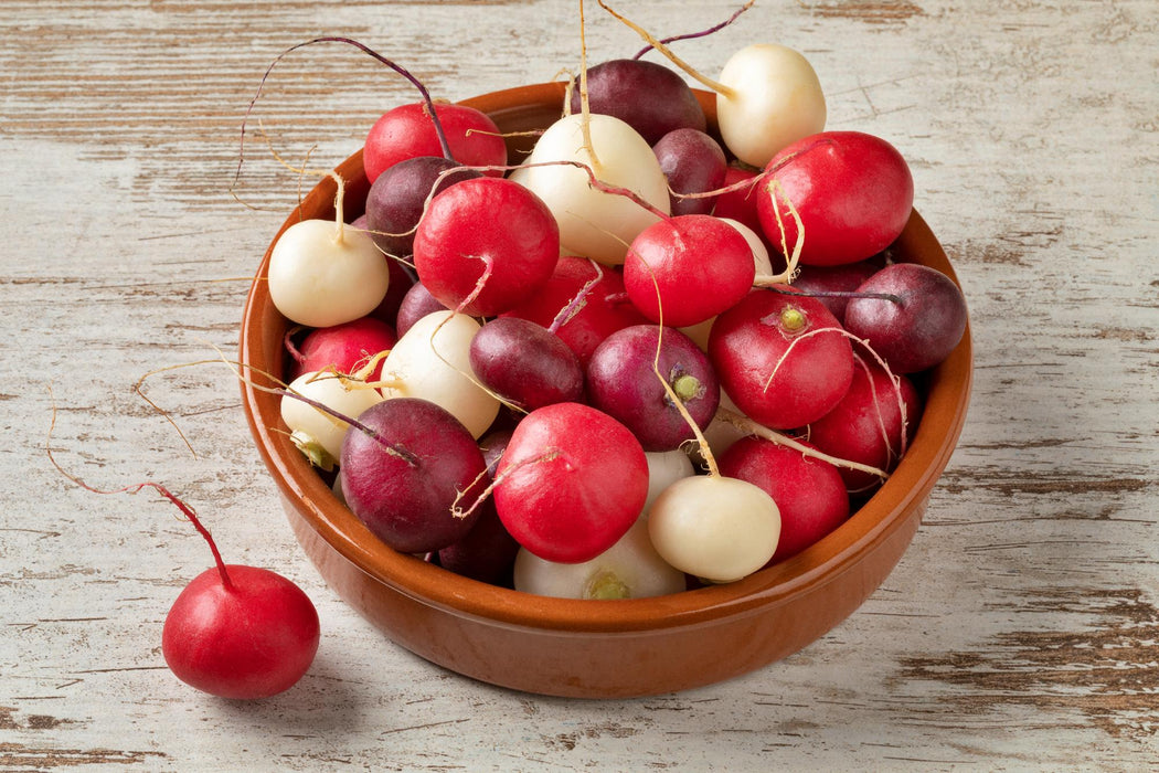 Fiesta Blend Mix, Radish, - BoxGardenSeedsLLC -Radishes - Seeds