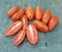 Roma VF Paste, Tomato, -- BoxGardenSeedsLLC -Abundant Stock SALE - Seeds