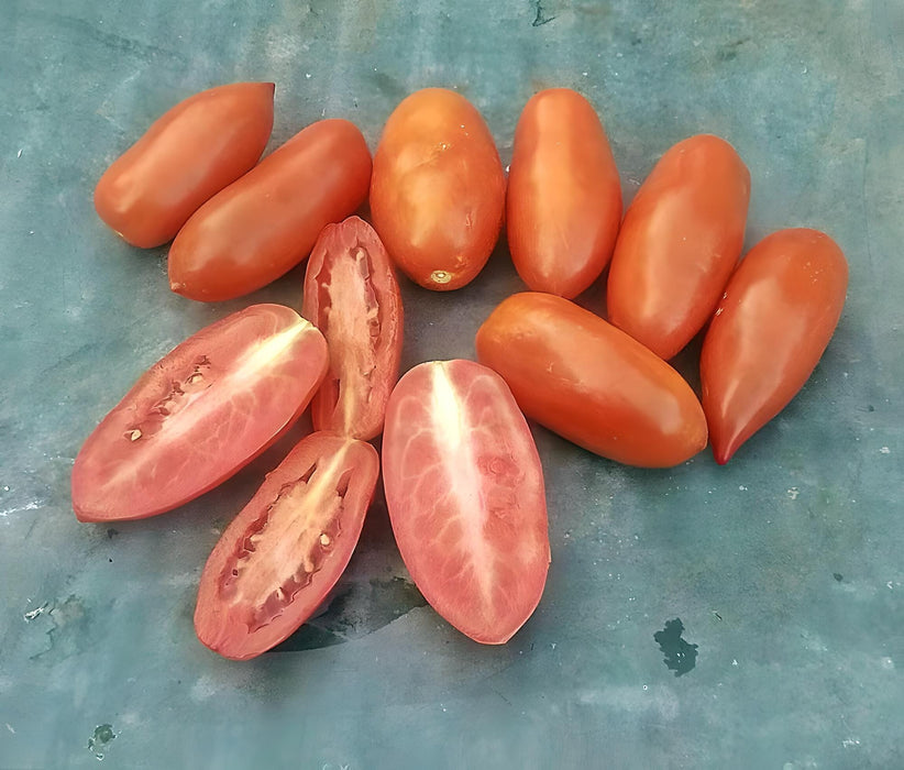 Roma VF Paste, Tomato, - BoxGardenSeedsLLC -Abundant Stock SALE - Seeds