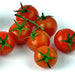 Red Cherry, Tomato, - BoxGardenSeedsLLC -Abundant Stock SALE - Seeds