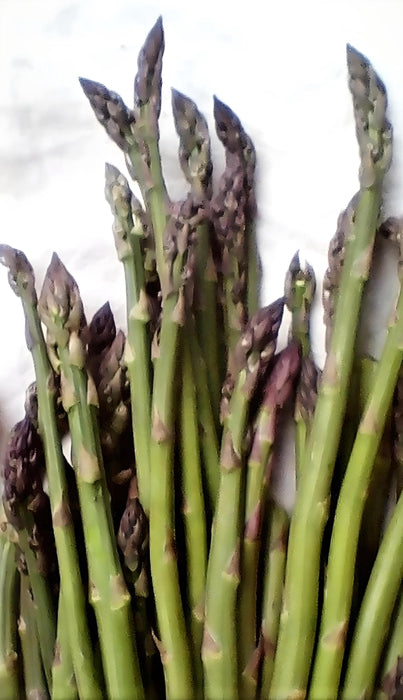 Mary Washington, Asparagus, -- BoxGardenSeedsLLC -Gourmet/Native Greens - Seeds