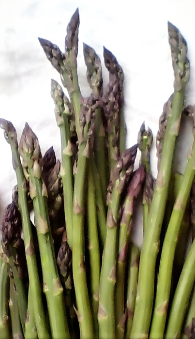 Mary Washington, Asparagus, - BoxGardenSeedsLLC -Gourmet/Native Greens - Seeds