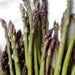 Mary Washington, Asparagus, - BoxGardenSeedsLLC -Gourmet/Native Greens - Seeds