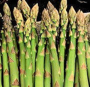 Mary Washington, Asparagus - BoxGardenSeedsLLC - Gourmet/Native Greens - Seeds - USA Seller, Thank you for shopping here today, Naturally Grown GMO Free Seeds, Heirloom Open Pollinated Seeds, Fresh Top Quality Premium Seeds